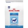 Royal Canin Veterinary Diet Adult Large Dog Dry Dog Food 1 Royal Canin Veterinary Diet Adult Large Dog Dry Dog Food -Blue Buffalo || ROYAL CANIN || Wellness Sales 61785. AC SS1800 V1460478784