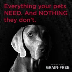 Diamond Naturals Grain-Free Beef & Sweet Potato Formula Dry Dog Food -Blue Buffalo || ROYAL CANIN || Wellness Sales 62155 PT4. AC SS1800 V1612399284