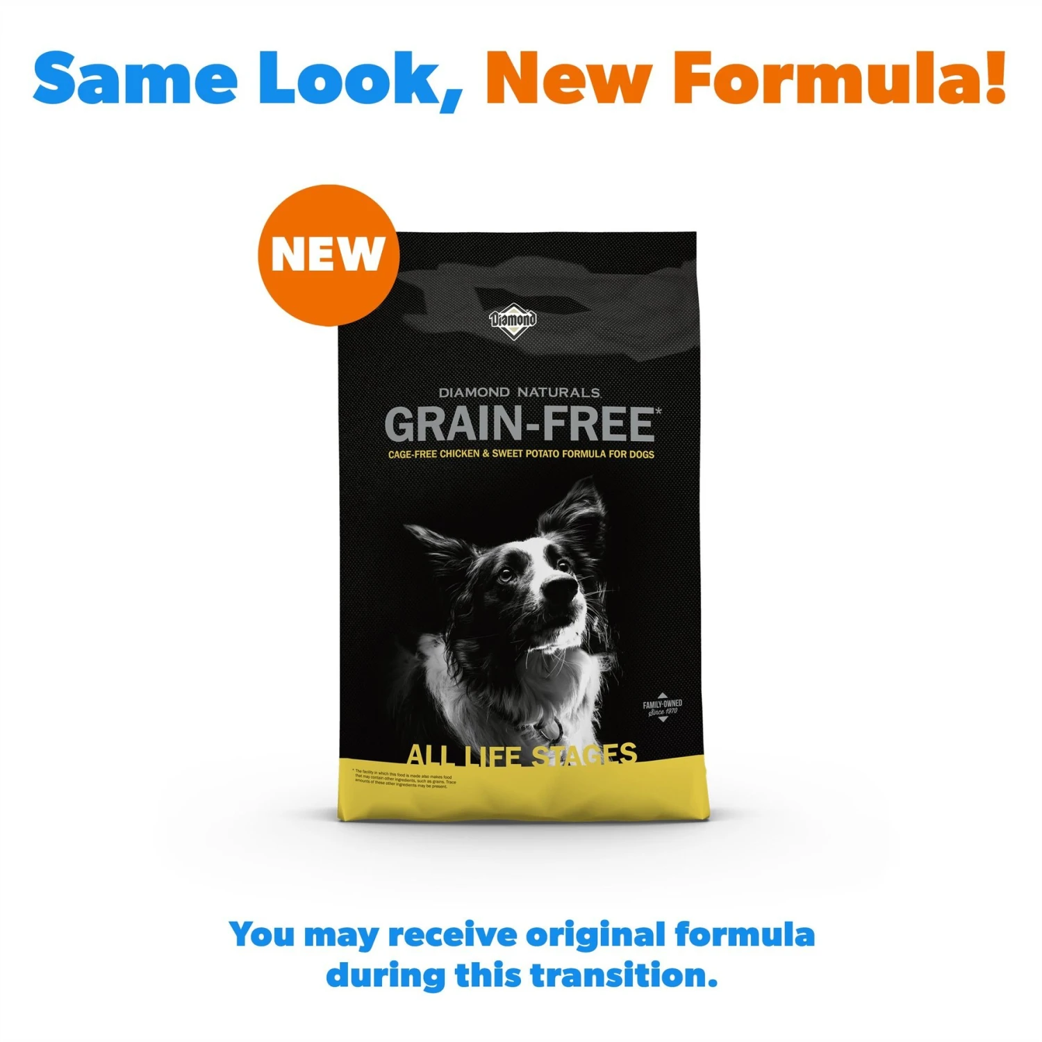 Diamond Naturals Grain-Free Chicken & Sweet Potato Formula Dry Dog Food 4 Diamond Naturals Grain-Free Chicken & Sweet Potato Formula Dry Dog Food - Image 2
