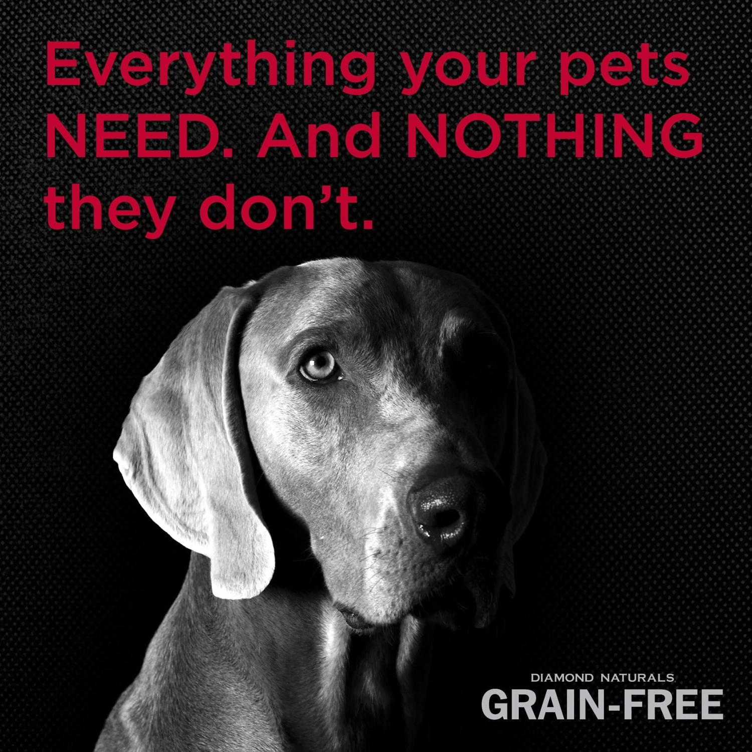 Diamond Naturals Grain-Free Chicken & Sweet Potato Formula Dry Dog Food 7 Diamond Naturals Grain-Free Chicken & Sweet Potato Formula Dry Dog Food - Image 5