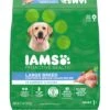 Iams Proactive Health Large Breed With Real Chicken Adult Dry Dog Food 2 Iams Proactive Health Large Breed With Real Chicken Adult Dry Dog Food -Blue Buffalo || ROYAL CANIN || Wellness Sales 62299 MAIN. AC SS1800 V1667865348