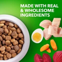 Iams Proactive Health Large Breed With Real Chicken Adult Dry Dog Food -Blue Buffalo || ROYAL CANIN || Wellness Sales 62299 PT3. AC SS1800 V1668024051