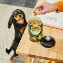 STAR WARS THE MANDALORIAN THE CHILD Aurebesh Ceramic Treat Jar & STAR WARS THE MANDALORIAN GROGU AUREBESH Non-Skid Stainless Steel With Melamine Stand Dog & Cat Bowl -Blue Buffalo || ROYAL CANIN || Wellness Sales 623382 PT3. AC SS1800 V1661896215