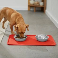 Disney Mickey Silicone Dog & Cat Food Mat & Disney Mickey Mouse Red Deco No-Skid Ceramic Dog & Cat Bowl -Blue Buffalo || ROYAL CANIN || Wellness Sales 623462 PT3. AC SS1800 V1661896217