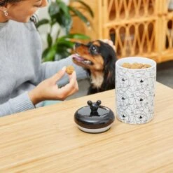 Disney Table Scraps Mickey Mouse Hot Diggity Dog Recipe Upcycled Jerky Dog Treats, 5-oz Bag & Disney Mickey Lines Ceramic Treat Jar -Blue Buffalo || ROYAL CANIN || Wellness Sales 623494 PT7. AC SS1800 V1661896454