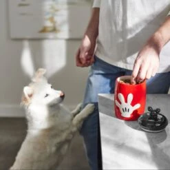 Disney Table Scraps Mickey Mouse Hot Diggity Dog Recipe Upcycled Jerky Dog Treats, 5-oz Bag & Disney Mickey Mouse Ceramic Dog & Cat Treat Jar 15 Disney Table Scraps Mickey Mouse Hot Diggity Dog Recipe Upcycled Jerky Dog Treats, 5-oz Bag & Disney Mickey Mouse Ceramic Dog & Cat Treat Jar -Blue Buffalo || ROYAL CANIN || Wellness Sales 623510 PT8. AC SS1800 V1661896152