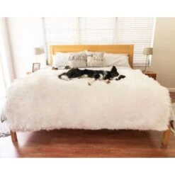 PawBrands PupProtector Waterproof Throw Dog Blanket 14 PawBrands PupProtector Waterproof Throw Dog Blanket -Blue Buffalo || ROYAL CANIN || Wellness Sales 625054 PT5. AC SS1800 V1661268740