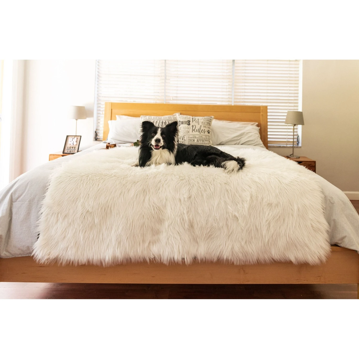 PawBrands PupProtector Waterproof Throw Dog Blanket 9 PawBrands PupProtector Waterproof Throw Dog Blanket - Image 7