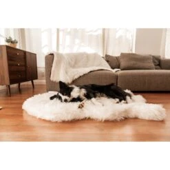 PawBrands PupRug Faux Fur Orthopedic Dog Bed -Blue Buffalo || ROYAL CANIN || Wellness Sales 625222 PT4. AC SS1800 V1661275441