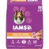 Iams Proactive Health Healthy Aging Mature & Senior Formula With Real Chicken Dry Dog Food 2 Iams Proactive Health Healthy Aging Mature & Senior Formula With Real Chicken Dry Dog Food -Blue Buffalo || ROYAL CANIN || Wellness Sales 62805 MAIN. AC SS1800 V1667865534