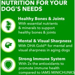 Iams Proactive Health Healthy Aging Mature & Senior Formula With Real Chicken Dry Dog Food -Blue Buffalo || ROYAL CANIN || Wellness Sales 62805 PT4. AC SS1800 V1668024582