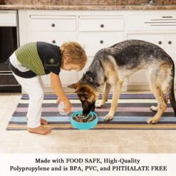 SunGrow Puzzle Cat, Dog & Small-Pet Maze Feeder & Water Bowl 12 SunGrow Puzzle Cat, Dog & Small-Pet Maze Feeder & Water Bowl -Blue Buffalo || ROYAL CANIN || Wellness Sales 629262 PT4. AC SS1800 V1675804484