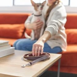 Frisco Top Grain Leather Leash + 4 Items 15 Frisco Top Grain Leather Leash + 4 Items -Blue Buffalo || ROYAL CANIN || Wellness Sales 630958 PT4. AC SS1800 V1662742186