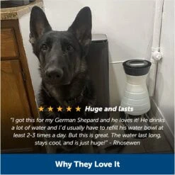 PetSafe Healthy Gravity Refill Dog & Cat Waterer -Blue Buffalo || ROYAL CANIN || Wellness Sales 63119 PT5. AC SS1800 V1676398827