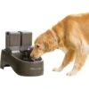 PetSafe Drinkwell Outdoor Plastic Dog & Cat Fountain -Blue Buffalo || ROYAL CANIN || Wellness Sales 63126 MAIN. AC SS1800 V1597184167