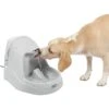 PetSafe Drinkwell Platinum Plastic Dog & Cat Fountain -Blue Buffalo || ROYAL CANIN || Wellness Sales 63134 MAIN. AC SS1800 V1616424735