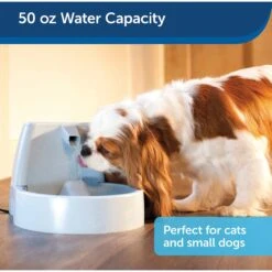 PetSafe Drinkwell Original Plastic Dog & Cat Fountain 12 PetSafe Drinkwell Original Plastic Dog & Cat Fountain -Blue Buffalo || ROYAL CANIN || Wellness Sales 63136 PT3. AC SS1800 V1590605522