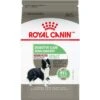 Royal Canin Canine Care Nutrition Medium Digestive Care Dry Dog Food -Blue Buffalo || ROYAL CANIN || Wellness Sales 63256 MAIN. AC SS1800 V1697139201