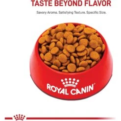 Royal Canin Canine Care Nutrition Medium Digestive Care Dry Dog Food -Blue Buffalo || ROYAL CANIN || Wellness Sales 63256 PT1. AC SS1800 V1697142918