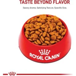 Royal Canin Size Health Nutrition Medium Adult 7+ Dry Dog Food 12 Royal Canin Size Health Nutrition Medium Adult 7+ Dry Dog Food -Blue Buffalo || ROYAL CANIN || Wellness Sales 63262 PT1. AC SS1800 V1697143001