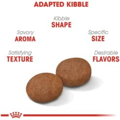 Royal Canin Size Health Nutrition Medium Adult 7+ Dry Dog Food 14 Royal Canin Size Health Nutrition Medium Adult 7+ Dry Dog Food -Blue Buffalo || ROYAL CANIN || Wellness Sales 63262 PT3. AC SS1800 V1697216754