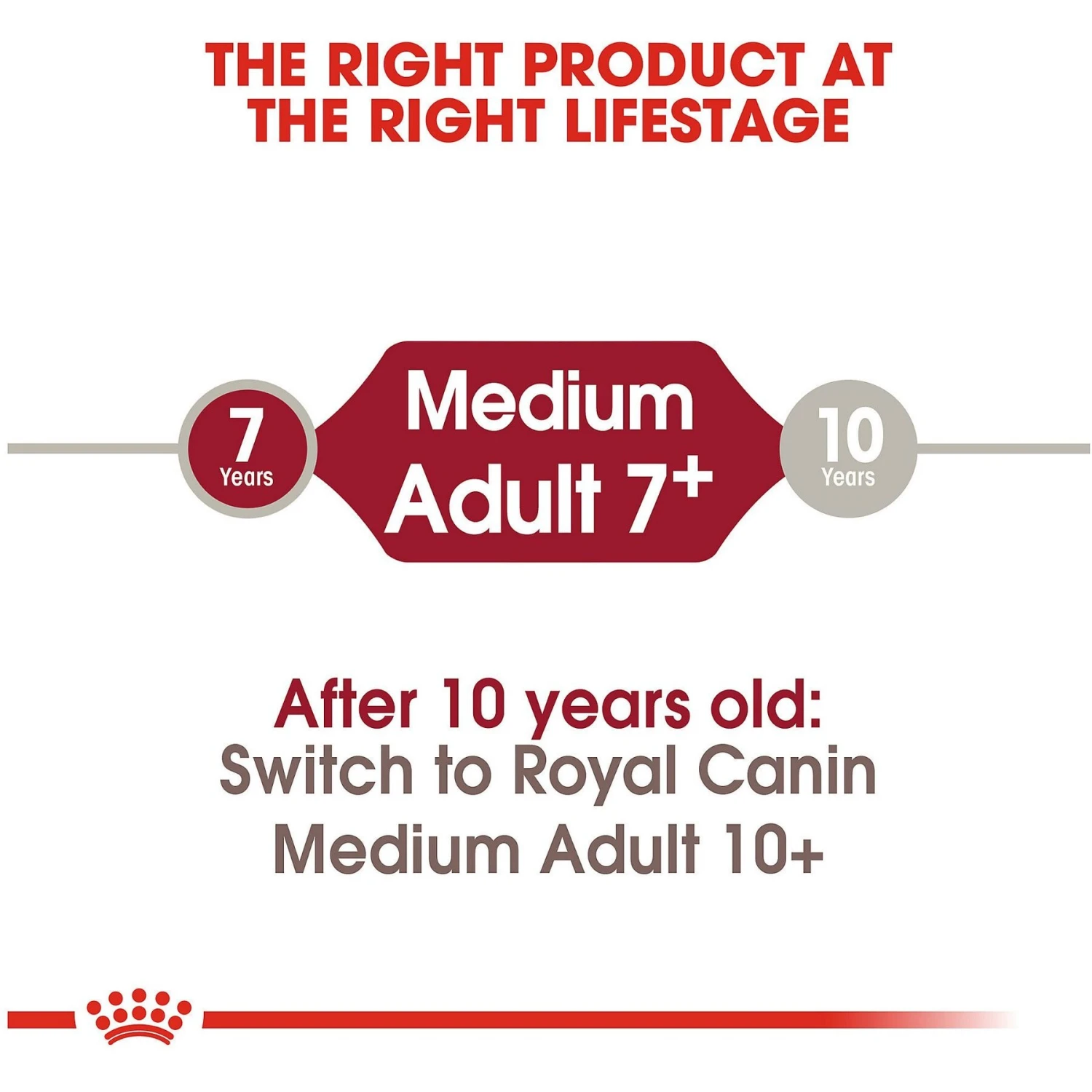 Royal Canin Size Health Nutrition Medium Adult 7+ Dry Dog Food 9 Royal Canin Size Health Nutrition Medium Adult 7+ Dry Dog Food - Image 7