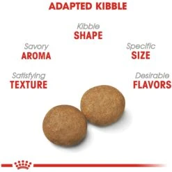 Royal Canin Size Health Nutrition Medium Adult Dry Dog Food -Blue Buffalo || ROYAL CANIN || Wellness Sales 63264 PT3. AC SS1800 V1697216693