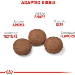 Royal Canin Size Health Nutrition Medium Puppy Dry Dog Food -Blue Buffalo || ROYAL CANIN || Wellness Sales 63266 PT3. AC SS1800 V1697213742