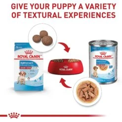 Royal Canin Size Health Nutrition Medium Puppy Dry Dog Food -Blue Buffalo || ROYAL CANIN || Wellness Sales 63266 PT5. AC SS1800 V1697213803