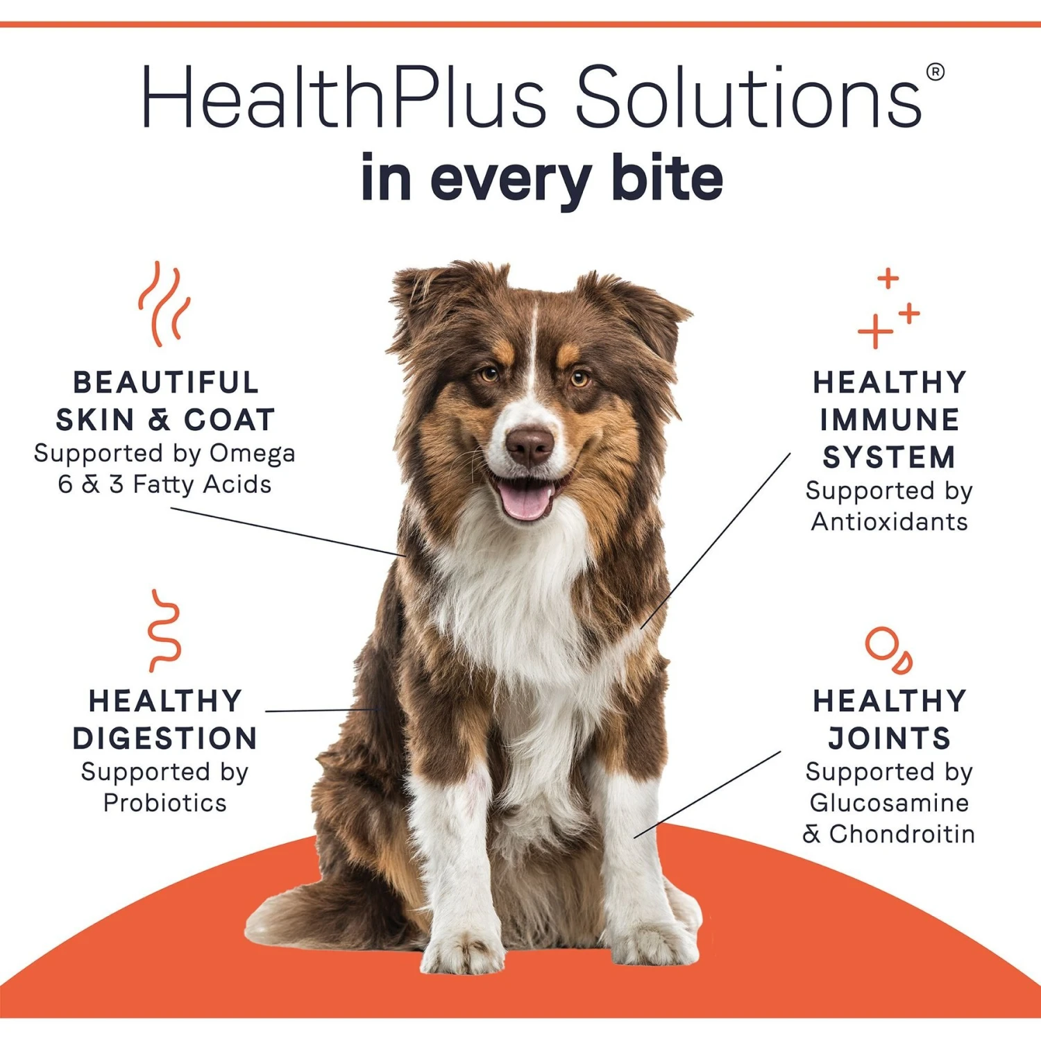 CANIDAE All Life Stages Lamb & Rice Formula Canned Dog Food & CANIDAE All Life Stages Chicken & Rice Formula Canned Dog Food 7 CANIDAE All Life Stages Lamb & Rice Formula Canned Dog Food & CANIDAE All Life Stages Chicken & Rice Formula Canned Dog Food - Image 5