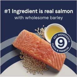 CANIDAE PURE With Wholesome Grains Real Beef & Barley Recipe Adult Dry Dog Food & CANIDAE PURE With Wholesome Grains Real Salmon & Barley Recipe Adult Dry Dog Food 19 CANIDAE PURE With Wholesome Grains Real Beef & Barley Recipe Adult Dry Dog Food & CANIDAE PURE With Wholesome Grains Real Salmon & Barley Recipe Adult Dry Dog Food -Blue Buffalo || ROYAL CANIN || Wellness Sales 632782 PT8. AC SS1800 V1663880419