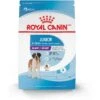 Royal Canin Size Health Nutrition Giant Junior Dry Dog Food -Blue Buffalo || ROYAL CANIN || Wellness Sales 63278 MAIN. AC SS1800 V1697139170