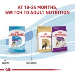 Royal Canin Size Health Nutrition Giant Junior Dry Dog Food -Blue Buffalo || ROYAL CANIN || Wellness Sales 63278 PT7. AC SS1800 V1697213773