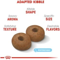 Royal Canin Size Health Nutrition Large Aging 8+ Dry Dog Food -Blue Buffalo || ROYAL CANIN || Wellness Sales 63298 PT3. AC SS1800 V1697212396