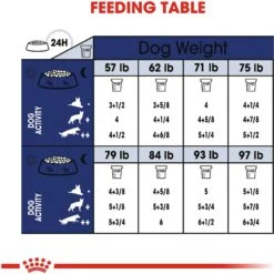 Royal Canin Size Health Nutrition Large Aging 8+ Dry Dog Food -Blue Buffalo || ROYAL CANIN || Wellness Sales 63298 PT8. AC SS1800 V1697212824