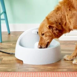 PetSafe Drinkwell Everflow Plastic Dog & Cat Fountain -Blue Buffalo || ROYAL CANIN || Wellness Sales 63326 PT2. AC SS1800 V1539373024