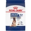 Royal Canin Size Health Nutrition Large Adult 5+ Dry Dog Food 2 Royal Canin Size Health Nutrition Large Adult 5+ Dry Dog Food -Blue Buffalo || ROYAL CANIN || Wellness Sales 63336 MAIN. AC SS1800 V1697653171