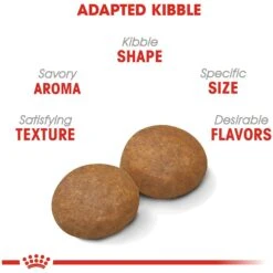 Royal Canin Size Health Nutrition Large Adult 5+ Dry Dog Food -Blue Buffalo || ROYAL CANIN || Wellness Sales 63336 PT3. AC SS1800 V1697655132