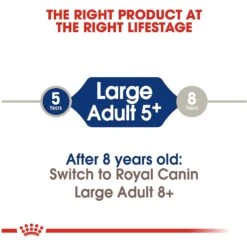 Royal Canin Size Health Nutrition Large Adult 5+ Dry Dog Food -Blue Buffalo || ROYAL CANIN || Wellness Sales 63336 PT6. AC SS1800 V1697655312