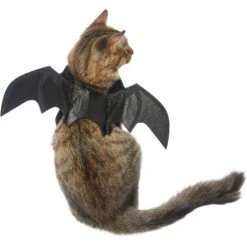 Frisco Bat Wings Dog & Cat Costume & Buckle-Down Batman Shield Polyester Dog Collar 13 Frisco Bat Wings Dog & Cat Costume & Buckle-Down Batman Shield Polyester Dog Collar -Blue Buffalo || ROYAL CANIN || Wellness Sales 638566 PT2. AC SS1800 V1663254513