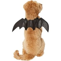 Frisco Bat Wings Dog & Cat Costume & Buckle-Down Batman Shield Polyester Dog Collar 14 Frisco Bat Wings Dog & Cat Costume & Buckle-Down Batman Shield Polyester Dog Collar -Blue Buffalo || ROYAL CANIN || Wellness Sales 638566 PT3. AC SS1800 V1663254451