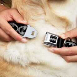 Frisco Bat Wings Dog & Cat Costume & Buckle-Down Batman Shield Polyester Dog Collar 17 Frisco Bat Wings Dog & Cat Costume & Buckle-Down Batman Shield Polyester Dog Collar -Blue Buffalo || ROYAL CANIN || Wellness Sales 638566 PT6. AC SS1800 V1663254111