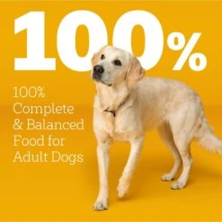 Pedigree With MarroBites Steak & Vegetable Flavor Pieces Adult Dry Dog Food, 36-lb Bag -Blue Buffalo || ROYAL CANIN || Wellness Sales 639222 PT8. AC SS1800 V1662501294