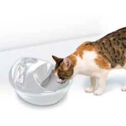 Pioneer Pet Raindrop Ceramic Dog & Cat Fountain 14 Pioneer Pet Raindrop Ceramic Dog & Cat Fountain -Blue Buffalo || ROYAL CANIN || Wellness Sales 64086 PT3. AC SS1800 V1630550859