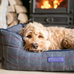 HUGO & HUDSON Luxury Tweed Dog Bed -Blue Buffalo || ROYAL CANIN || Wellness Sales 643062 PT1. AC SS1800 V1663343262