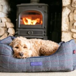 HUGO & HUDSON Luxury Tweed Dog Bed -Blue Buffalo || ROYAL CANIN || Wellness Sales 643062 PT8. AC SS1800 V1663713918