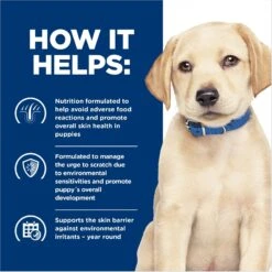 Hill's Prescription Diet Derm Complete Puppy Environmental/Food Sensitivities Rice & Egg Recipe Dry Dog Food, 14.3-lb Bag 16 Hill's Prescription Diet Derm Complete Puppy Environmental/Food Sensitivities Rice & Egg Recipe Dry Dog Food, 14.3-lb Bag -Blue Buffalo || ROYAL CANIN || Wellness Sales 647350 PT5. AC SS1800 V1663712812