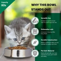 Iconic Pet Anti Ant Stainless Steel Non Skid Dog & Cat Bowl, 2 Count -Blue Buffalo || ROYAL CANIN || Wellness Sales 652046 PT1. AC SS1800 V1663880116
