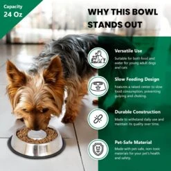 Iconic Pet Slow Feed Stainless Steel Dog & Cat Bowl, 2 Count -Blue Buffalo || ROYAL CANIN || Wellness Sales 652158 PT3. AC SS1800 V1663880906