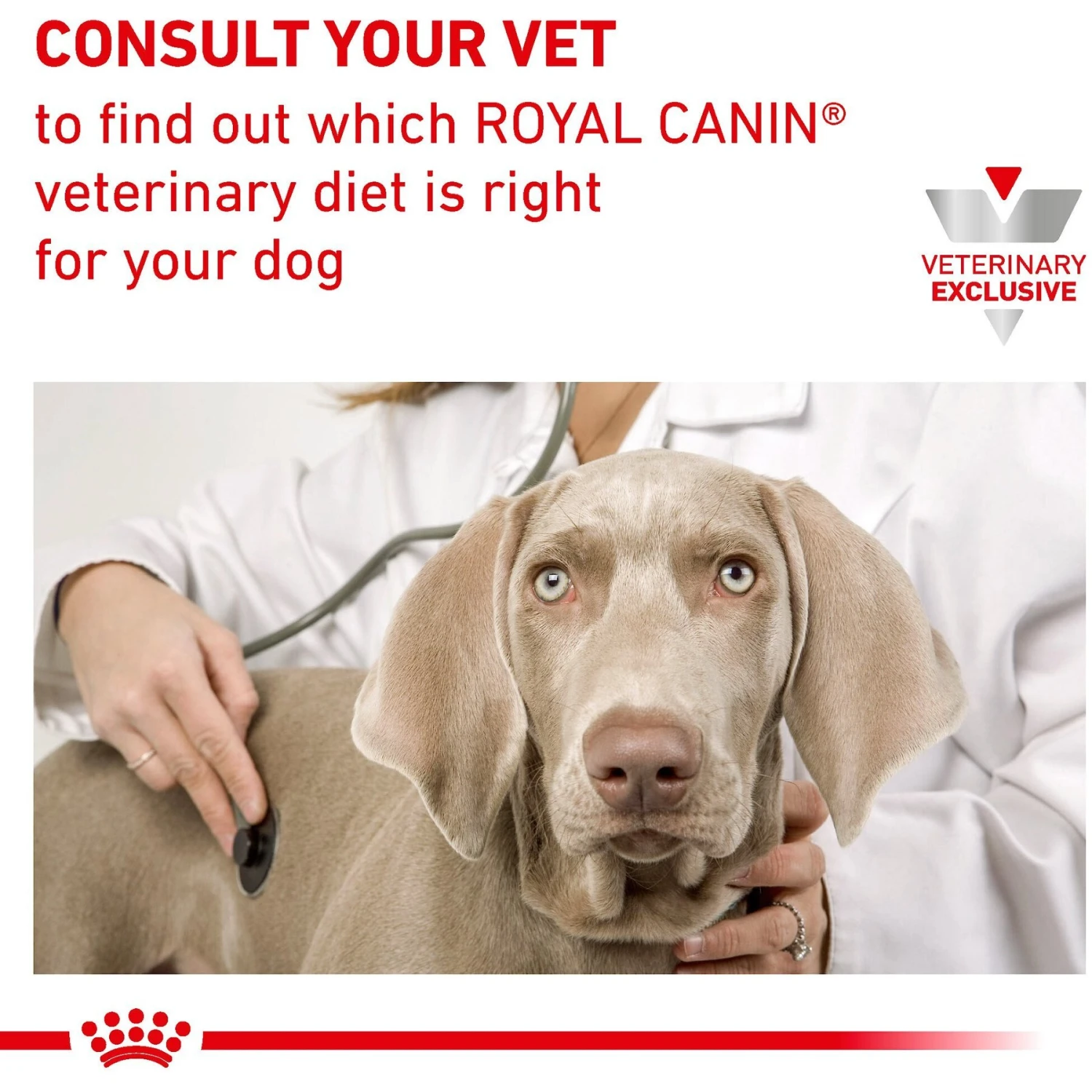 Royal Canin Veterinary Diet Adult Weight Control Loaf In Sauce Canned Dog Food 9 Royal Canin Veterinary Diet Adult Weight Control Loaf In Sauce Canned Dog Food - Image 7
